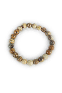Ole - Picture Jasper Stone Bracelet B1588-GLOSS