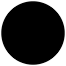 Alamea Palm Beach - Perfect Lash Mascara