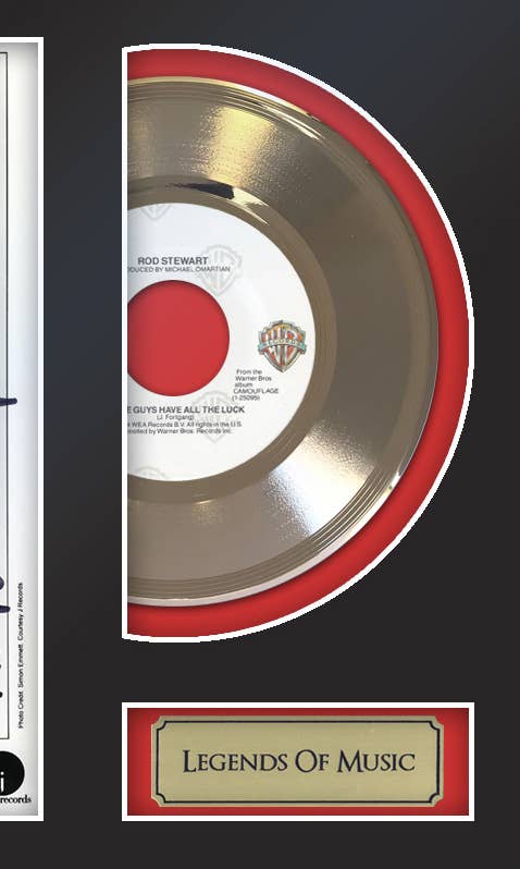 Gold Record Outlet - Some Guys Have All the Luck Framed 45 Gold Record Display