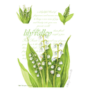 The Willowbrook Company - Fresh Scents Lily of the Valley Sachets