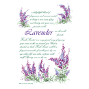 The Willowbrook Company - Fresh Scents Lavender Sachets