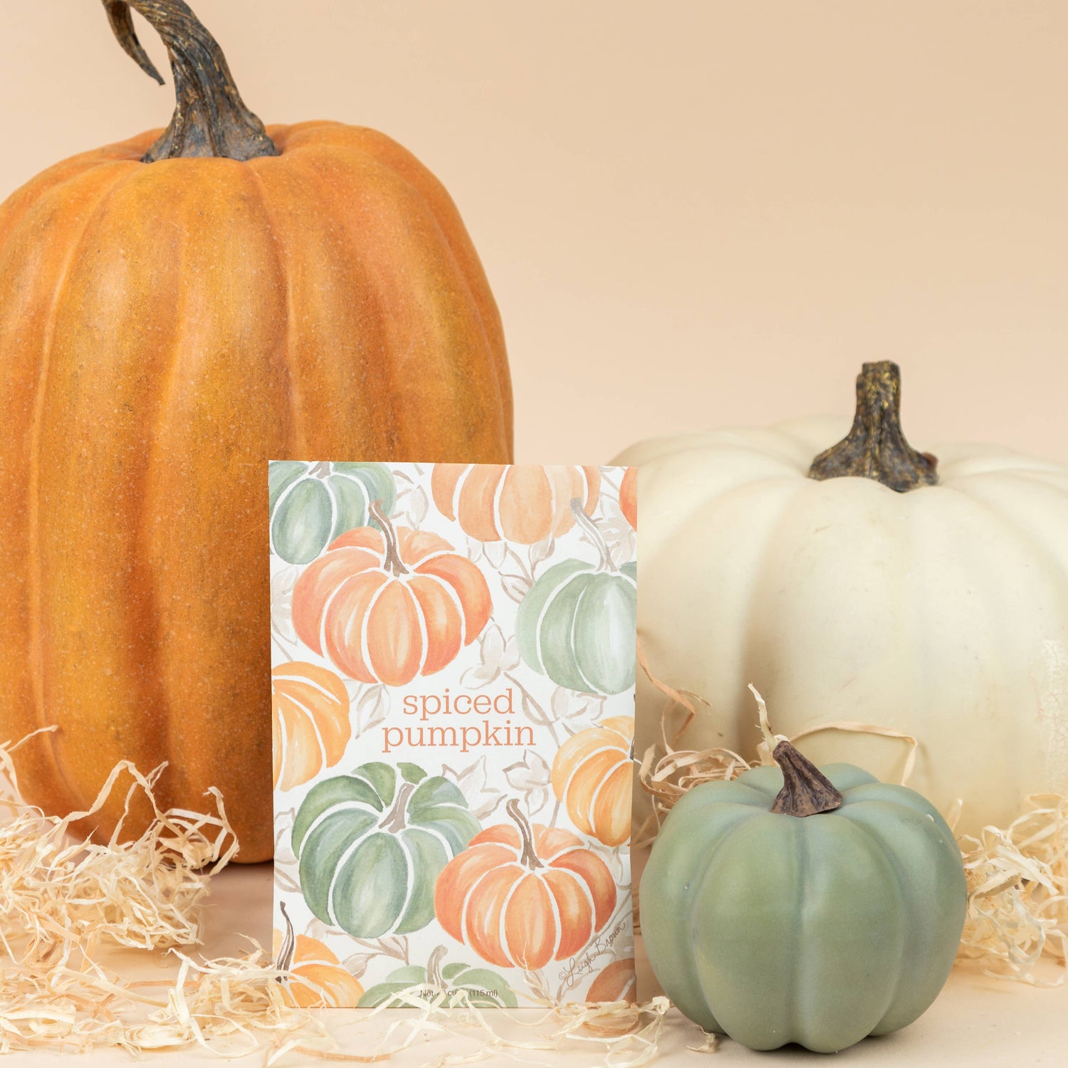 The Willowbrook Company - Fresh Scents | Spiced Pumpkin Sachets | Fall, Halloween