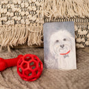The Willowbrook Company - Fresh Scents Lucky Dog Sachets