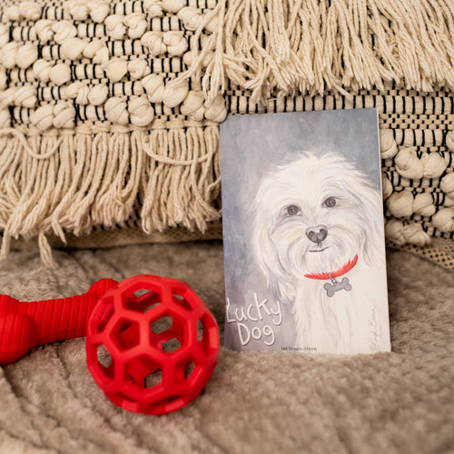 The Willowbrook Company - Fresh Scents Lucky Dog Sachets