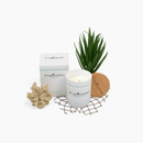 True Ocean - Coastal Candle  - 5 oz.