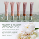 Alamea Palm Beach - Protect and Correct Concealer SPF 35