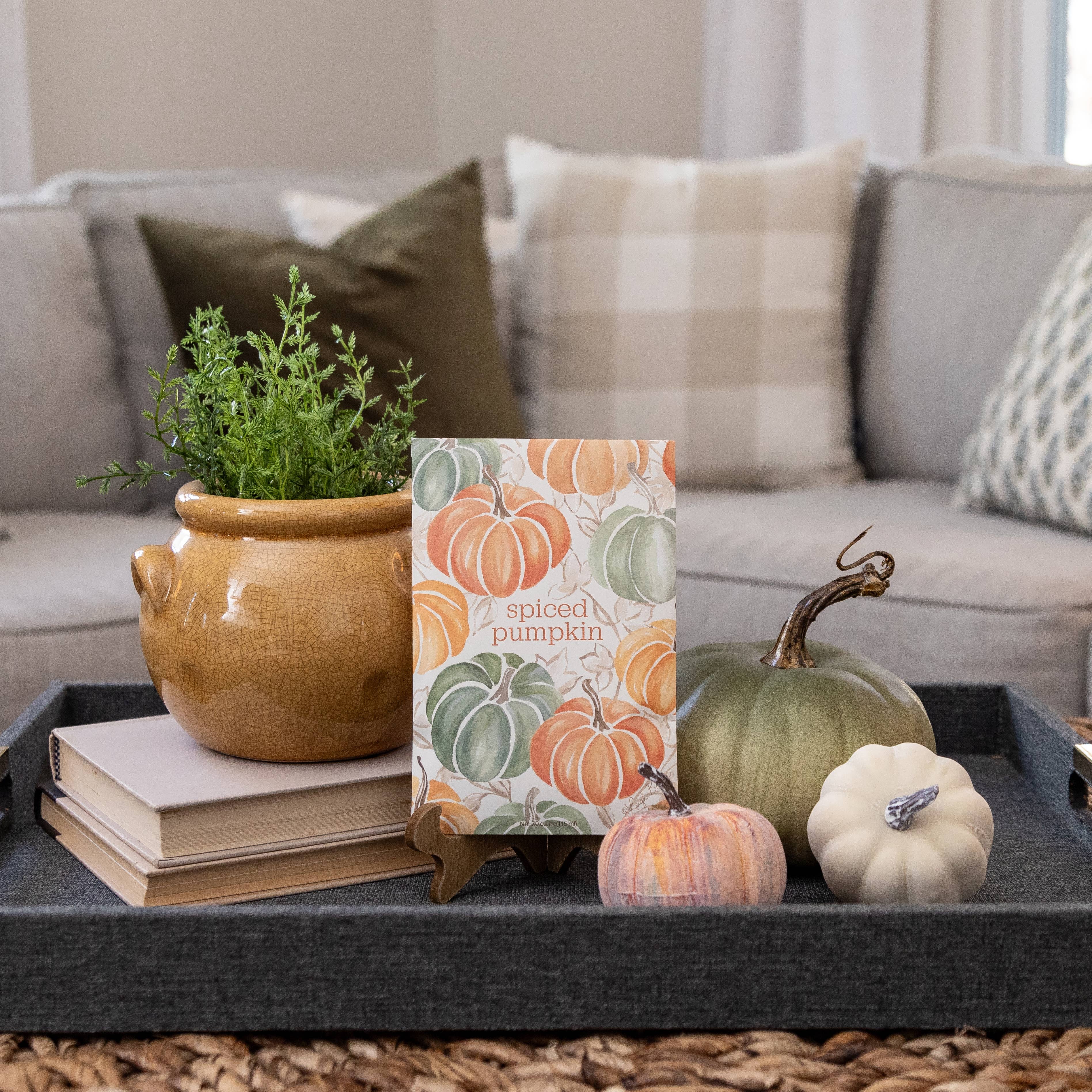 The Willowbrook Company - Fresh Scents | Spiced Pumpkin Sachets | Fall, Halloween