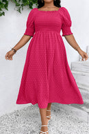 Wisteria Swiss Dot Smocked Frilled Neckline Short Sleeve Plus Size Dress