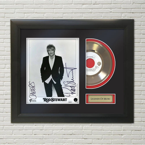 Gold Record Outlet - Some Guys Have All the Luck Framed 45 Gold Record Display