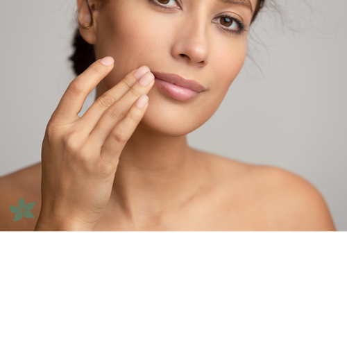 Alamea Palm Beach - The Pout Primer