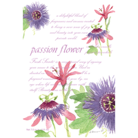 The Willowbrook Company - Fresh Scents Passion Flower Sachets