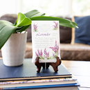 The Willowbrook Company - Fresh Scents Lavender Sachets