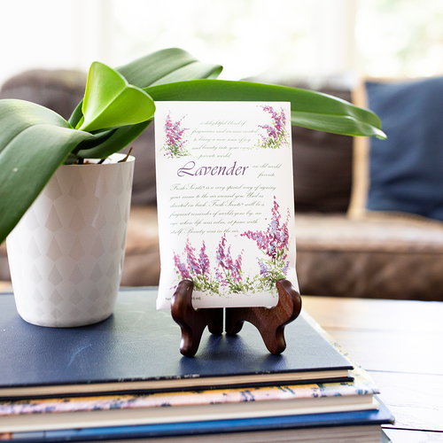 The Willowbrook Company - Fresh Scents Lavender Sachets
