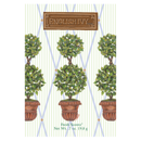 The Willowbrook Company - Fresh Scents | Round Topiary Sachets | Summer Scent