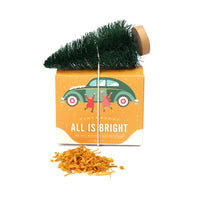 FinchBerry - All is Bright – Clay & Salt Soak - Christmas Holiday