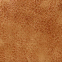 Cinnamon Color Swatch