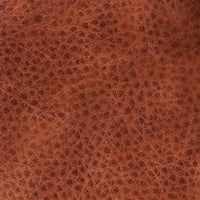 Mahogany Color Swatch